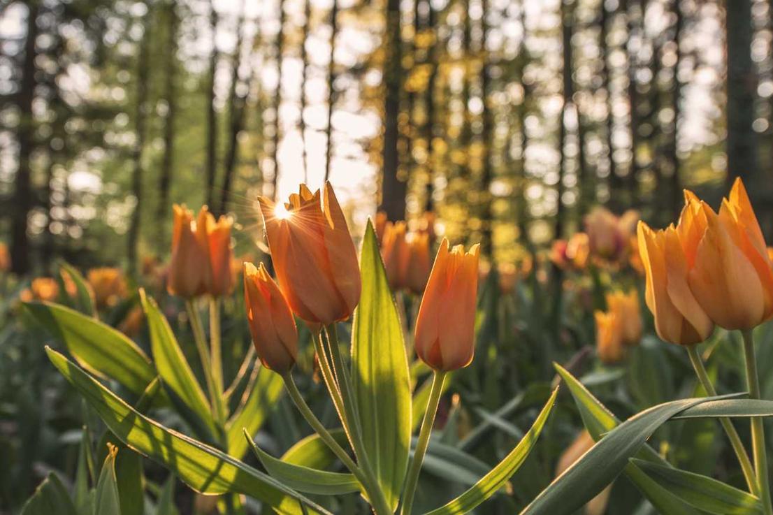 Voluptatibus ipsa sunt quasi doloribus quasi ipsum non libero nisi perspiciatis